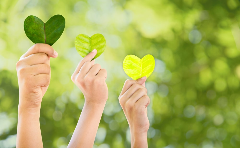 3 hands holding heart shaped leafs