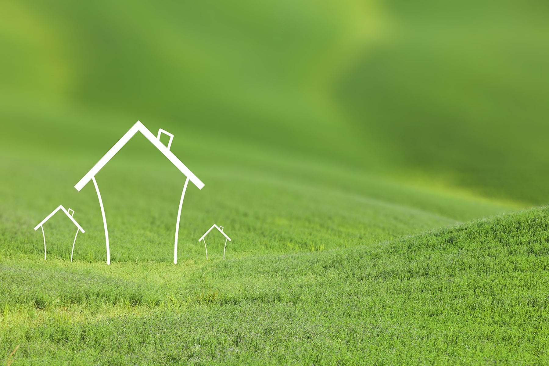 Houses in green field