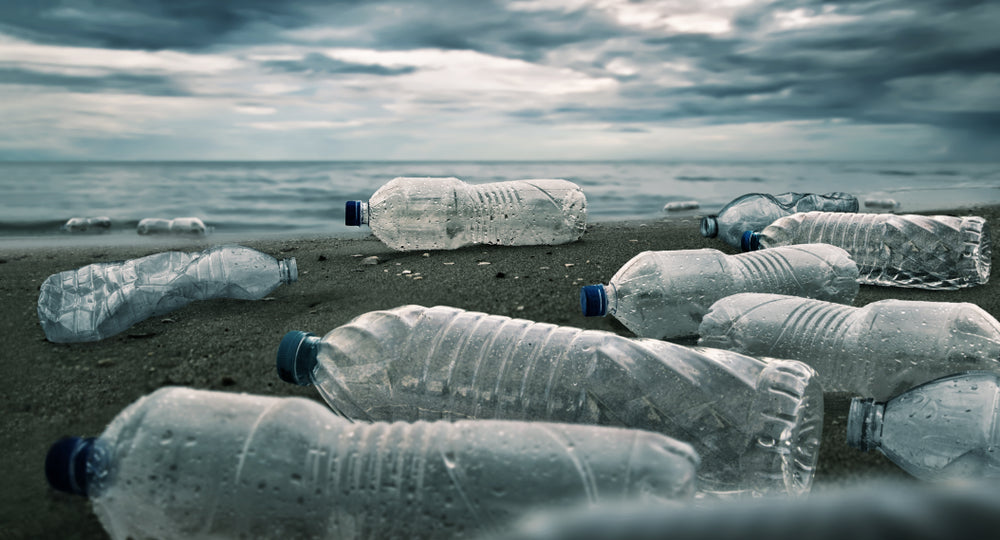 Plastic Water Bottles Pollution Ocean Environment